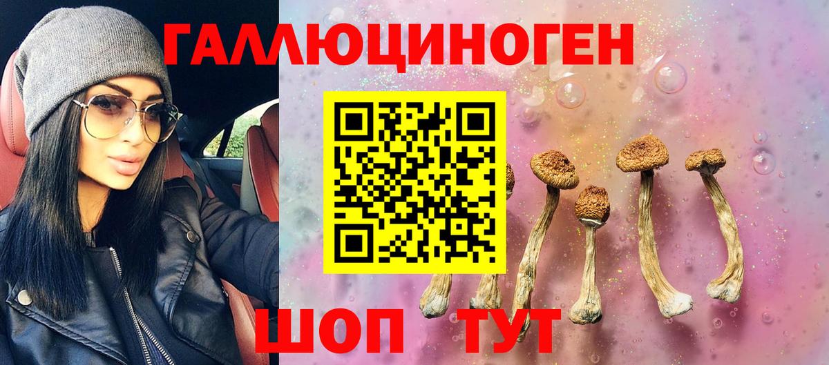 Псилоцибиновые грибы мицелий Баксан